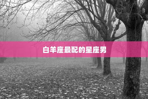 白羊座最配的星座男