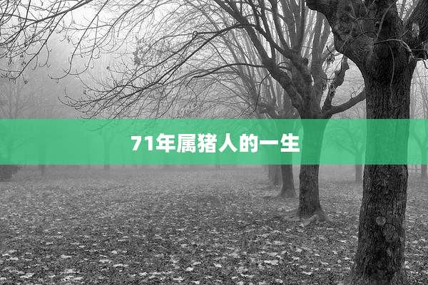 71年属猪人的一生