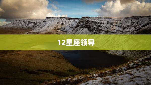 12星座领导