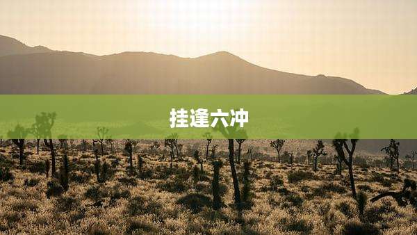 挂逢六冲