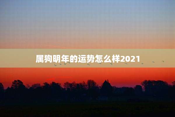 属狗明年的运势怎么样2021