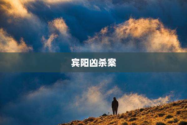 宾阳凶杀案