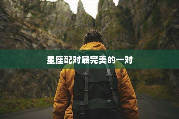 星座配对最完美的一对