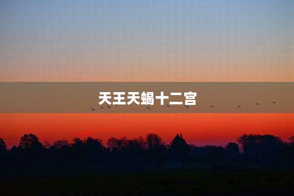 天王天蝎十二宫