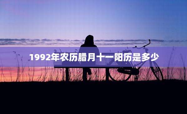 1992年农历腊月十一阳历是多少