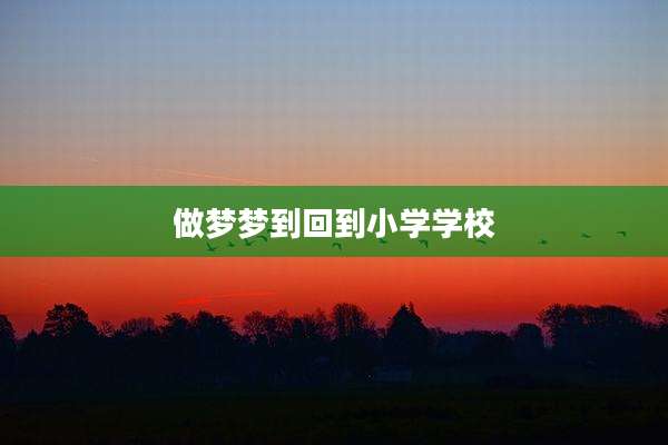 做梦梦到回到小学学校