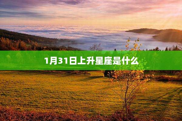 1月31日上升星座是什么