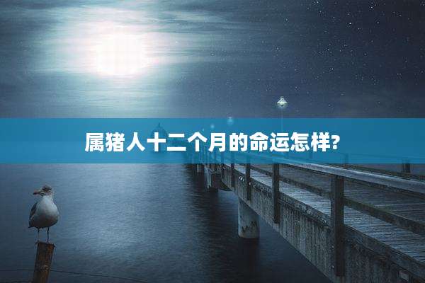 属猪人十二个月的命运怎样?