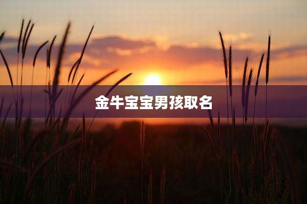 金牛宝宝男孩取名