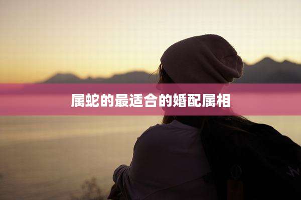 属蛇的最适合的婚配属相