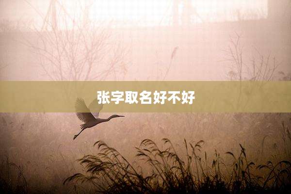 张字取名好不好
