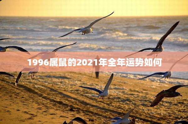 1996属鼠的2021年全年运势如何
