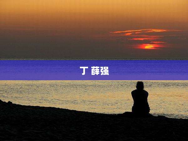 丁 薛强