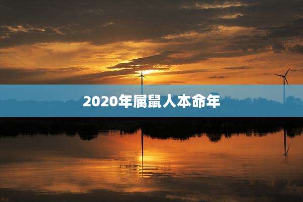 2020年属鼠人本命年