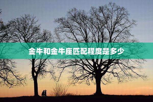 金牛和金牛座匹配程度是多少