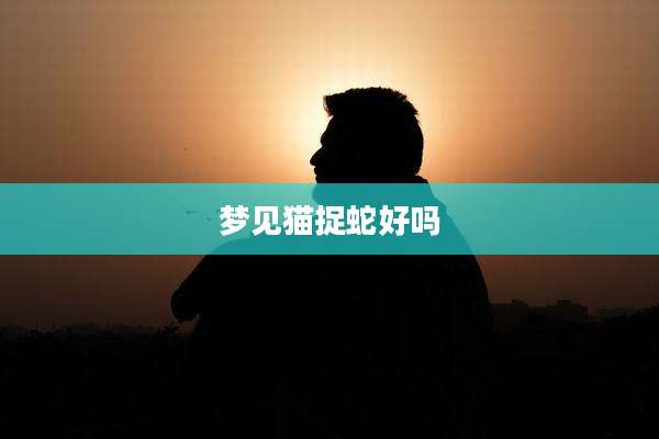 梦见猫捉蛇好吗