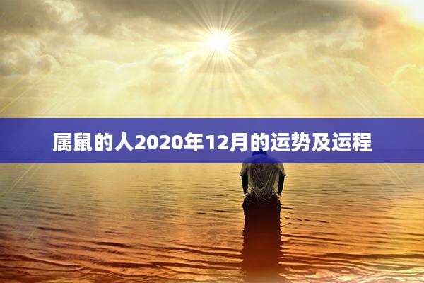 属鼠的人2020年12月的运势及运程