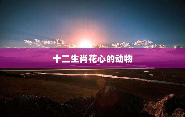 十二生肖花心的动物