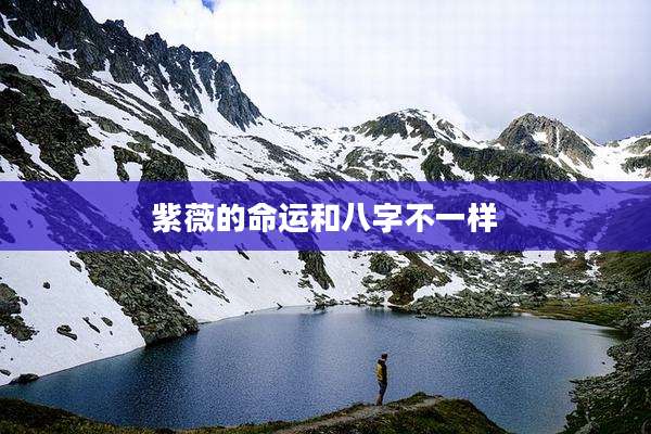 紫薇的命运和八字不一样