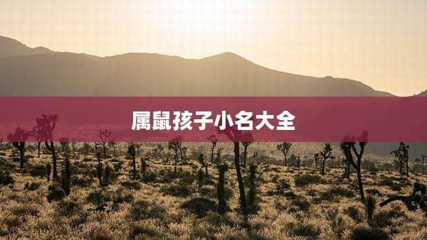 属鼠孩子小名大全