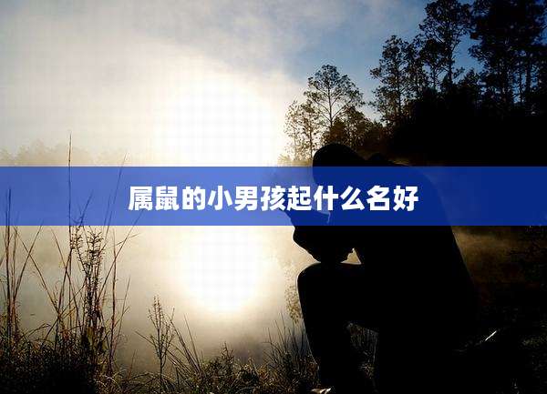 属鼠的小男孩起什么名好