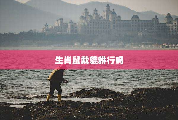 生肖鼠戴貔貅行吗