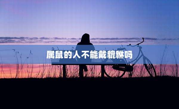 属鼠的人不能戴貔貅吗