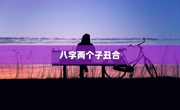 八字两个子丑合