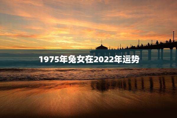 1975年兔女在2022年运势