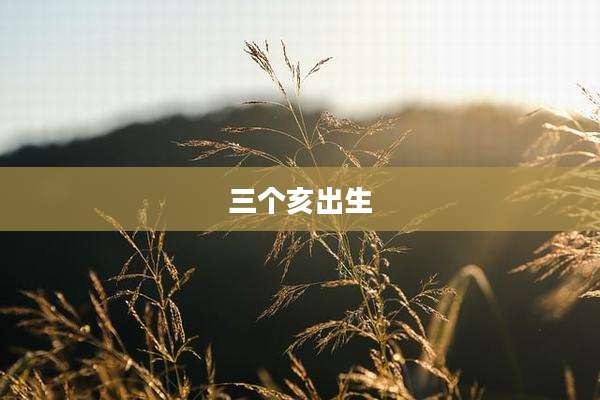 三个亥出生