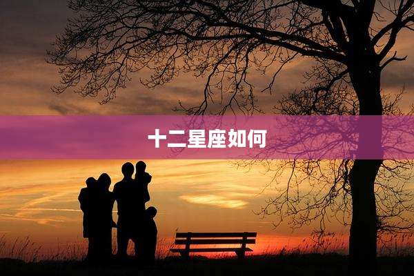 十二星座如何