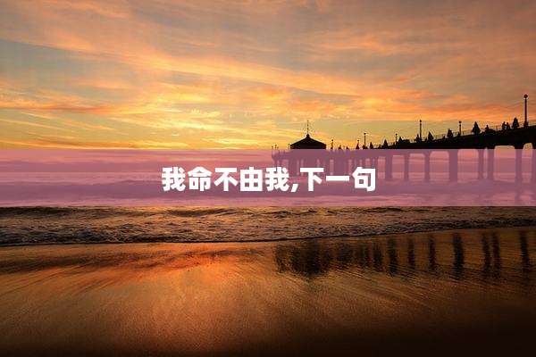 我命不由我,下一句