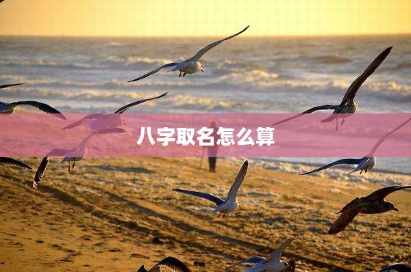 八字取名怎么算