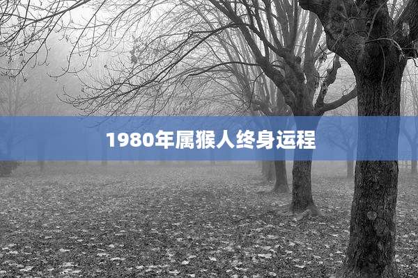 1980年属猴人终身运程