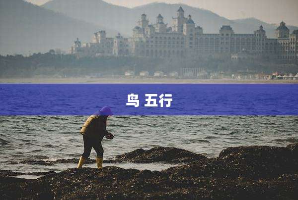 鸟 五行