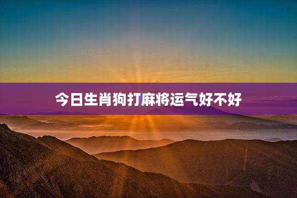 今日生肖狗打麻将运气好不好