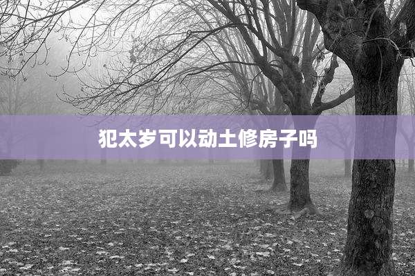 犯太岁可以动土修房子吗