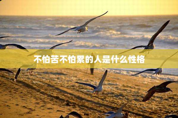 不怕苦不怕累的人是什么性格