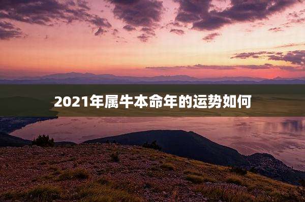 2021年属牛本命年的运势如何