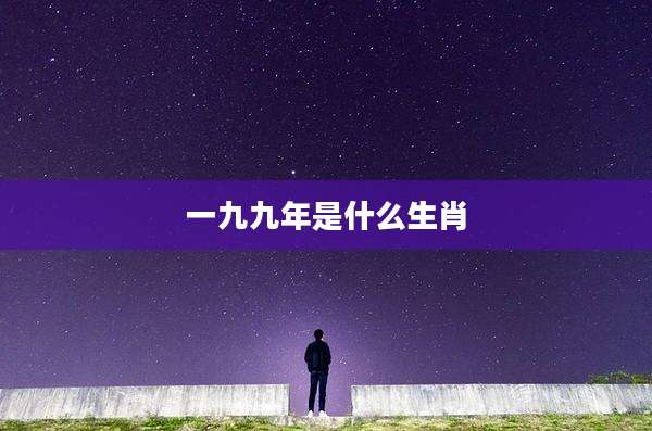 一九九年是什么生肖