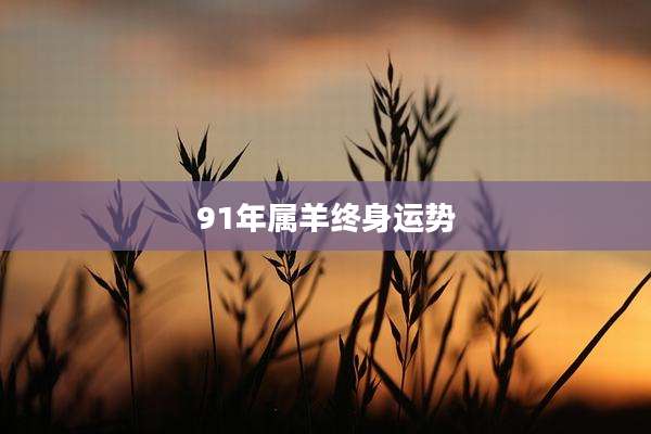 91年属羊终身运势