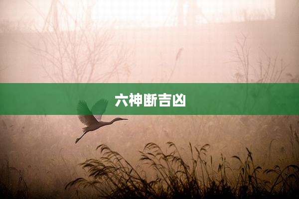 六神断吉凶