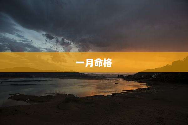 一月命格
