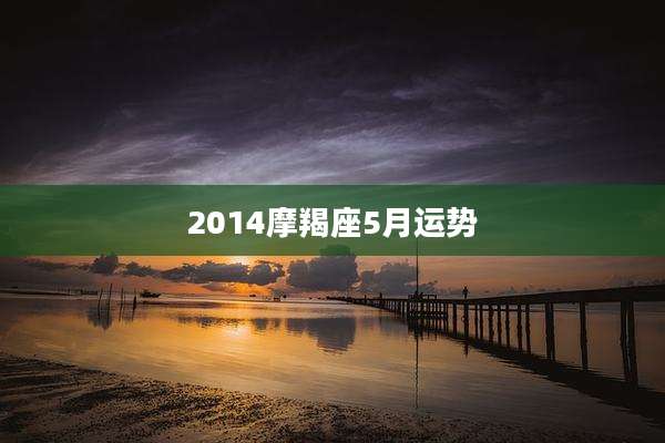 2014摩羯座5月运势