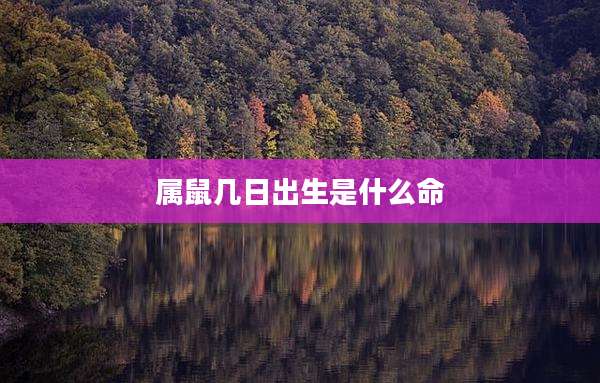 属鼠几日出生是什么命