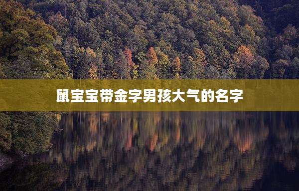 鼠宝宝带金字男孩大气的名字