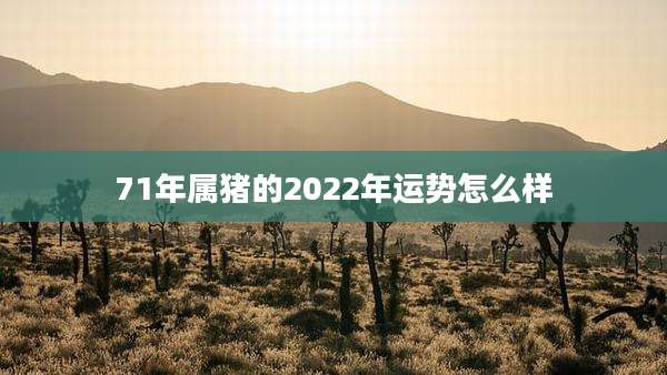 71年属猪的2022年运势怎么样