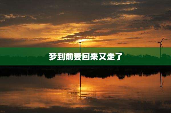 梦到前妻回来又走了