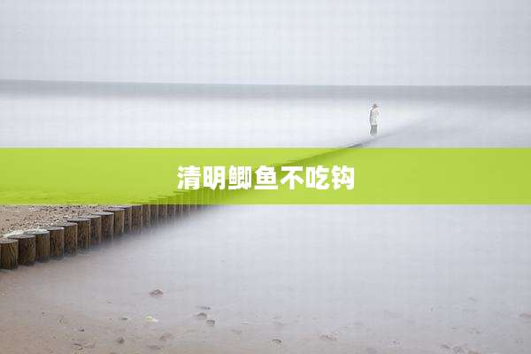 清明鲫鱼不吃钩