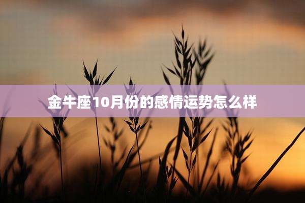 金牛座10月份的感情运势怎么样